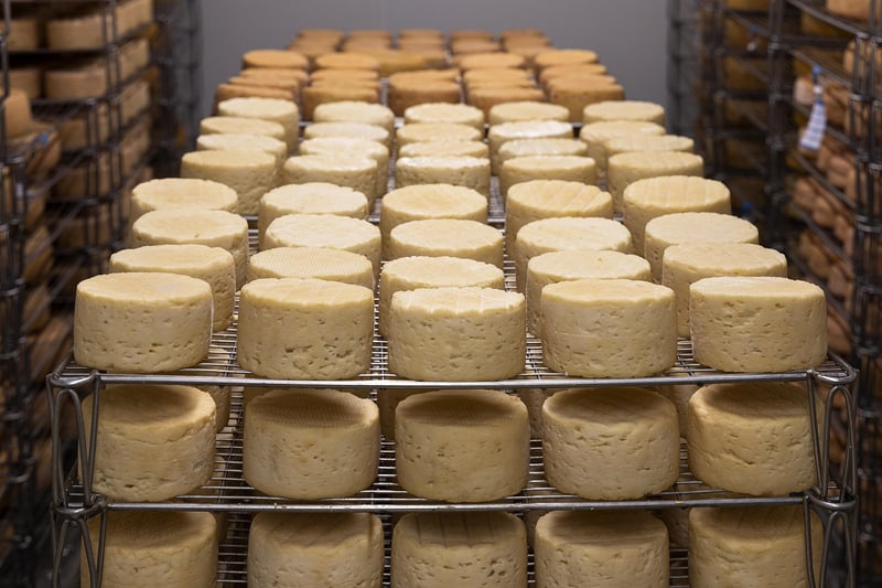 French Cheese Course